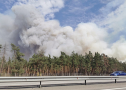 Воронежский поселок подготовили к эвакуации из-за масштабного пожара