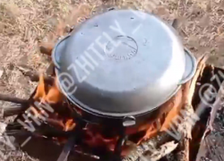 «Угадайте, что я варю?»: потерявшуюся домашнюю черепаху зачем-то превратили в суп в Воронеже 