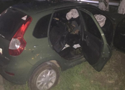 Полиция показала фото с места смертельного ДТП с деревом под Воронежем