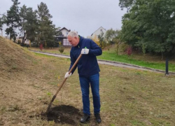 Замглавы Лискинского района отправили в СИЗО за взятку 