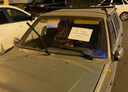 «Я судак»: интересный метод борьбы с наглой парковкой показали в Воронеже