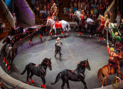 Четверых артистов госпитализировали из-за обрушения конструкции в воронежском цирке