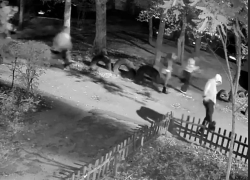 «Смотрите, что творят ваши "детки"»: подростки разгромили воронежский двор и попали на видео