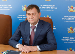 Облдума Нетёсова взялась за старое
