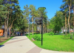 На Левом берегу Воронежа горожане смогут прочувствовать ЭкоПульс