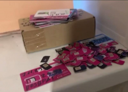 Международную операцию провели полицейские ради поимки мошенников из Воронежской области и других регионов