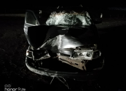 Сбивший воронежскую семью из пяти человек водитель был пьян