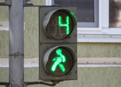 Воронежские гаишники бьют тревогу из-за пугающего количества сбитых пешеходов