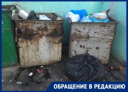 Мусорное бедствие захлестнуло жителей Советского района в Воронеже