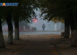 Туман и гололедица: «желтая» погодная опасность объявлена в Воронежской области