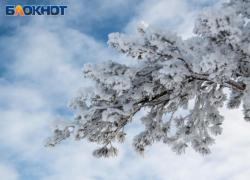 Ждать ли снега в декабре и на Новый год, рассказал глава Воронежского гидрометцентра 