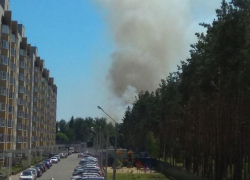 Воронежцы стали свидетелями крупного пожара у пляжа в Боровом
