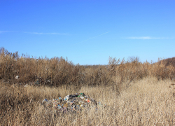 В Воронежском заповеднике местное МУП устроило свалку