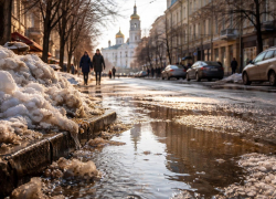 Февраль переобулся: воронежцев ждут теплые выходные с дождем