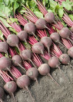 Воронежское предприятие привлекли к ответственности за отходы