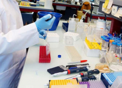 Молодой мужчина умер от COVID-19, более 20 заразились за сутки в Воронежской области