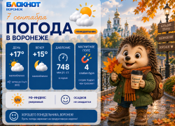 Бабье лето с характером: прогноз погоды в Воронеже 