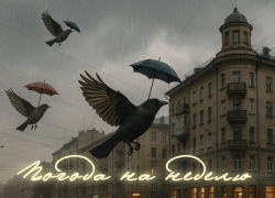 Полгода плохая погода в Воронеже: прогноз на неделю 