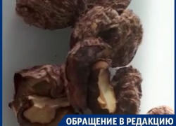 В «Магните» воронежцу продали целую сетку просроченных каштанов
