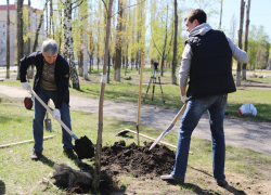 Воронежские власти рассказали о реконструкции сквера «Чайка» на Машмете