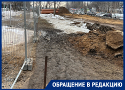 Обратную сторону реконструкции улицы показали в Воронеже  