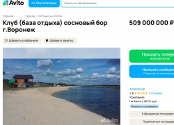Турбаза, которую хотели продать под жилое строительство, подешевела до 509 млн рублей под Воронежем