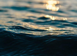 Житель Воронежа нашел труп в водохранилище