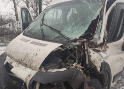 Микроавтобус столкнулся лоб в лоб с грузовиком на заснеженной трассе Воронежской области