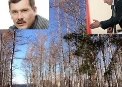 Воронежские коммунисты жестко раскритиковали поселок, в котором живет Александр Гусев