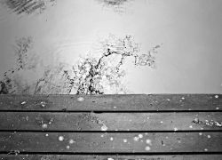 Пропавшего без вести мужчину нашли по его останкам в реке в Воронеже