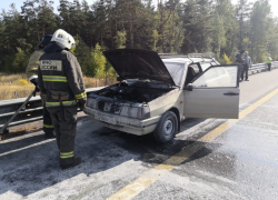 ВАЗ загорелся рядом с лесом в Воронеже 