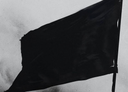 В лютые морозы на школах и вузах Воронежа вывешивали черные флаги