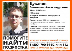 В Воронеже объявили срочные поиски 16-летнего подростка