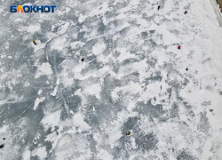 Лошадь провалилась под лед водоема в Воронеже