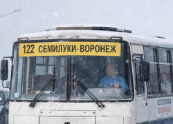 32 рейса в день: между Воронежем и Семилуками запускают удобный автобусный маршрут