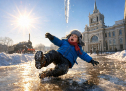 Гололед в Воронеже продолжает калечить: 684 человека за три дня получили травмы