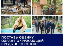 Оздоровление воронежских водоемов и решение проблем незаконных свалок стали главными вопросами в области охраны окружающей среды: Итоги 2016 года