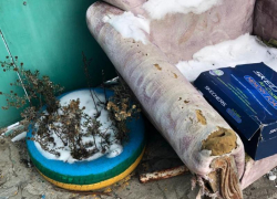  Пенсионерка может сесть на 15 лет за жестокое убийство сожителя под Воронежем 