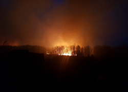 Крупный пожар в пойме воронежской реки попал на снимки