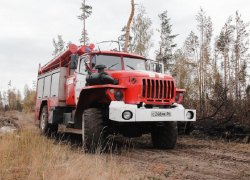 Два трупа нашли спасатели после пожара в Воронежской области 