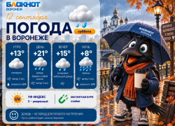 Льёт как из ведра: прогноз погоды в Воронеже