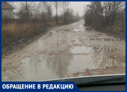 Объезжающие пробку на М-4 автомобилисты превратили дорогу под Воронежем в непролазное болото 