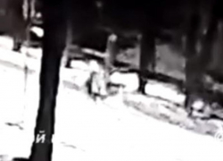 Момент наезда грузовика на двух детей попал на видео в Воронеже