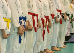 Воронежские спортсмены завоевали 4 медали на Всероссийском турнире в Москве