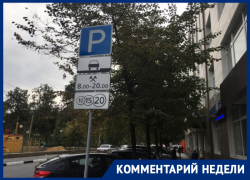 План победы над пробками в Воронеже назвали активисты 