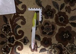 Женщина зарезала приятеля во время ссоры в Воронеже