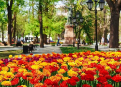 «Воронеж буквально расцвел»: мэр Сергей Петрин поделился захватывающими фото города