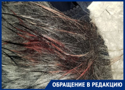 «Душил моим же капюшоном»: жительница Воронежа рассказала о нападении «человека в камуфляже»