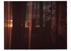 Воронеж встречает сентябрь без дождей: прогноз погоды на неделю