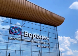 Реконструкция взлетно-посадочной полосы Воронежского аэропорта заинтересовала силовиков